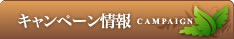 キャンペーン情報